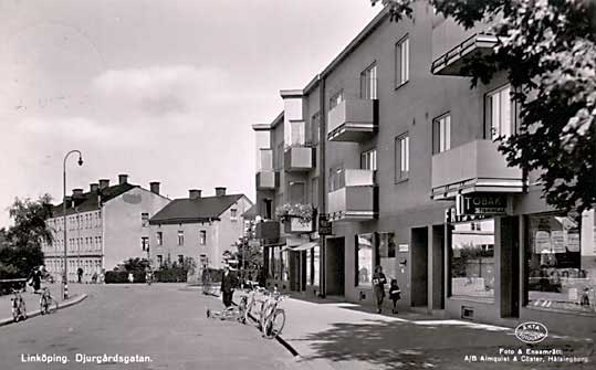 Bild61