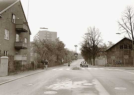 djur895