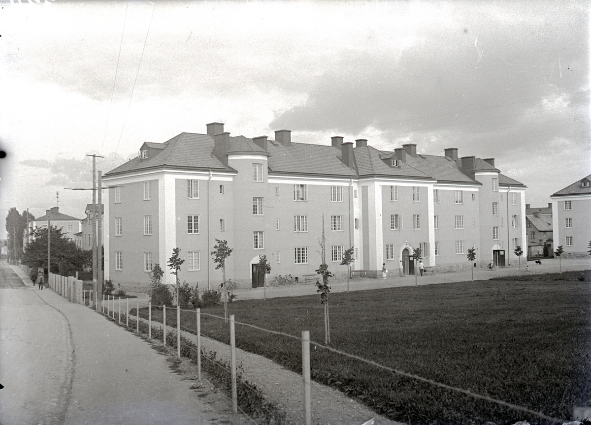 djur925