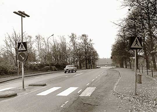 djur989