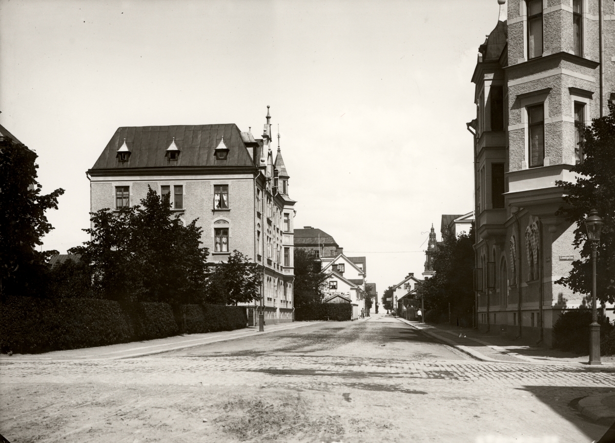 Bild5