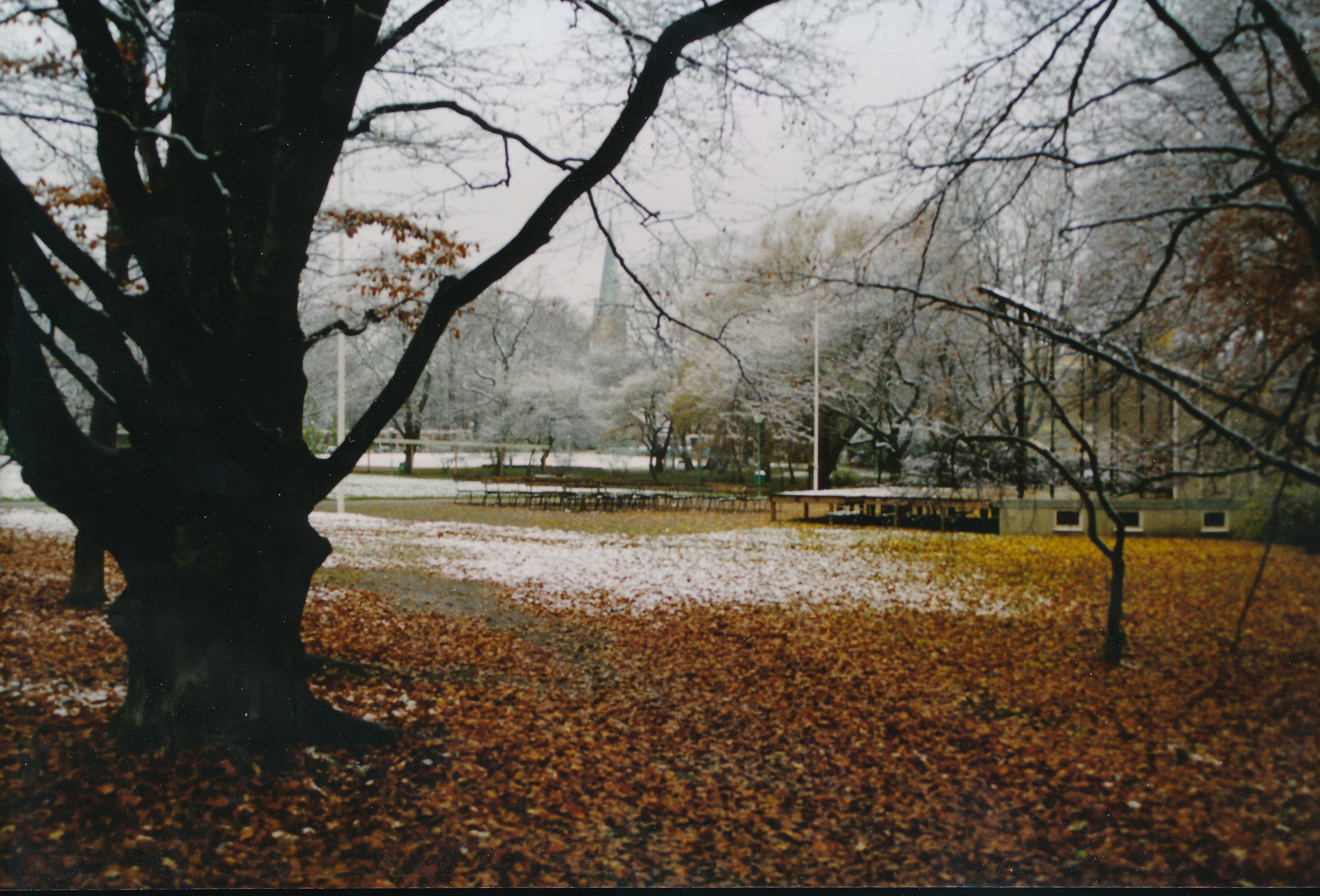 Bild203
