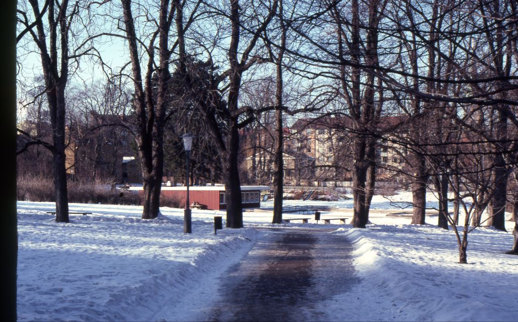 Bild229